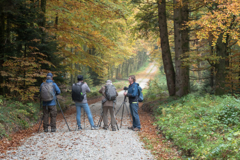 Fotowanderung mit Andreas Mühlleitner im Kobernaußerwald